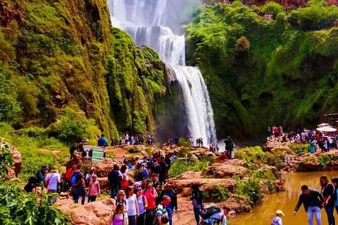 Ouzoud Waterfalls Full-Day Tour from Marrakech - Pricing and Overall Value