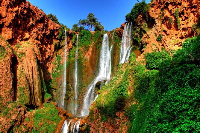 Ouzoud Waterfalls Private Day Trip from Marrakech - FAQ: Your Practical Questions Answered