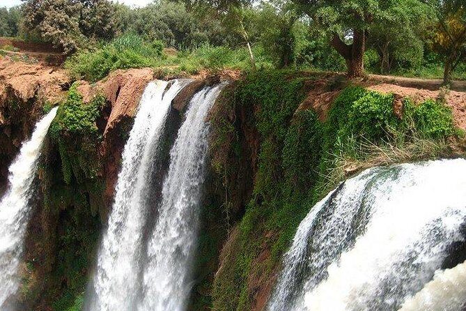 Ouzoud Waterfalls Shared Group Day Trip from Marrakech - Who Should Consider This Tour?