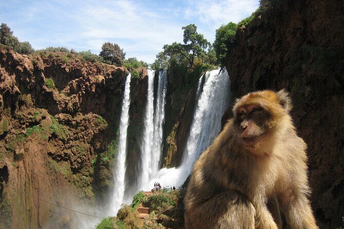 Ouzoud Waterfull - Day Trip from Marrakech - FAQs