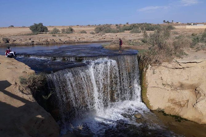 over day safari trip to whales valley fayoum oasis - In-Depth Breakdown of the Itinerary