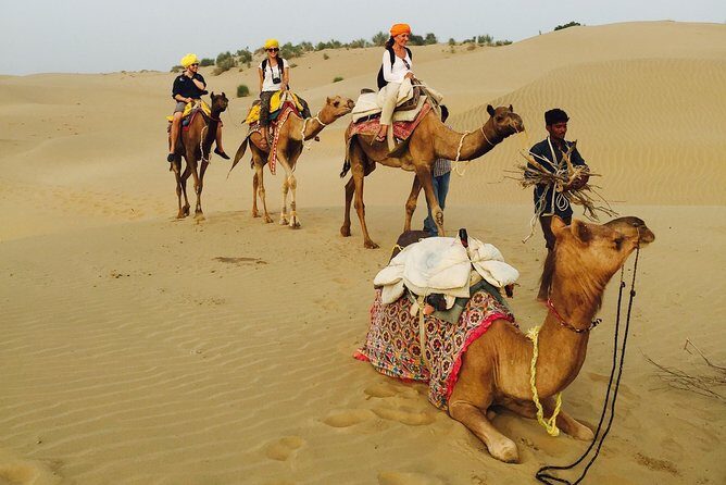 Over Night camel safari non touristic sand dune - The Sum Up