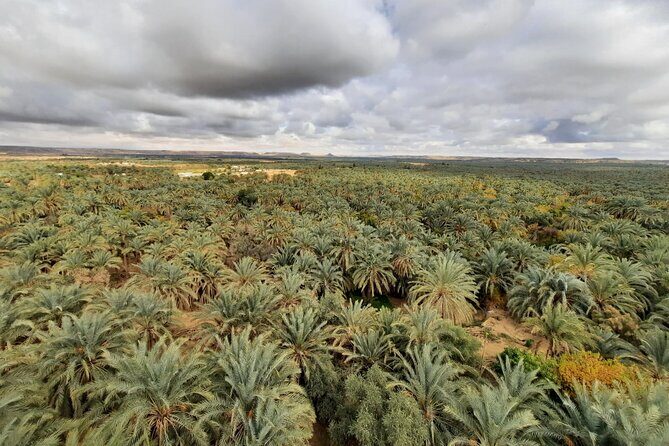 Overday Safari at White Desert and Black Desert - Who Will Love This Tour?