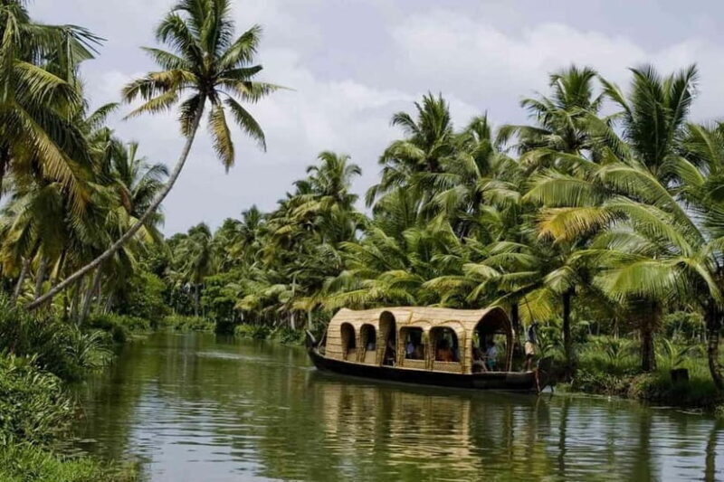 Overnight Alleppey Houseboat Cruise Tour (Kerala Beauty) - Practical Details and How They Affect Your Trip