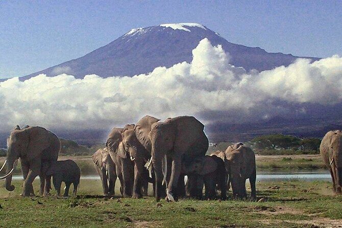 Overnight Amboseli National Park Safari - Final Thoughts: Is It Worth It?