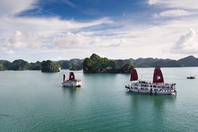 Overnight Bai Tu Long Bay Cruise from Hanoi - Ha Long Bay All-Inclusive - Who Should Book This Tour?