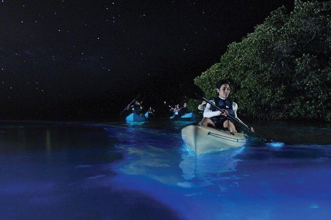 Overnight Bio Bay Kayak Tour in Vieques Island - Key Points