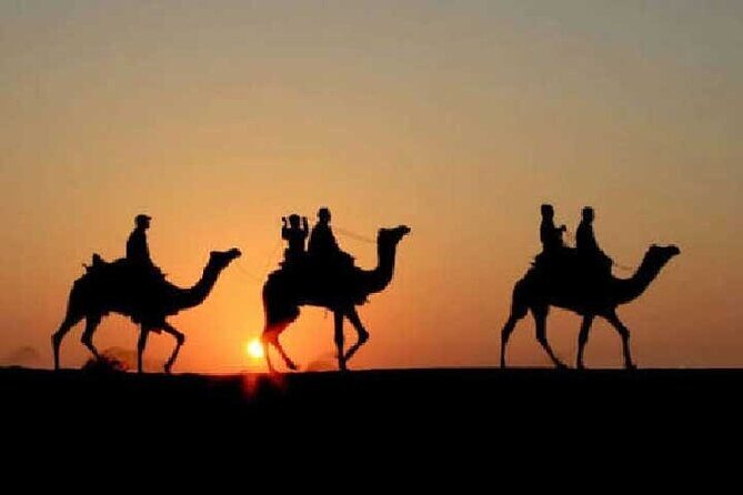Overnight Camel Safari - Key Points