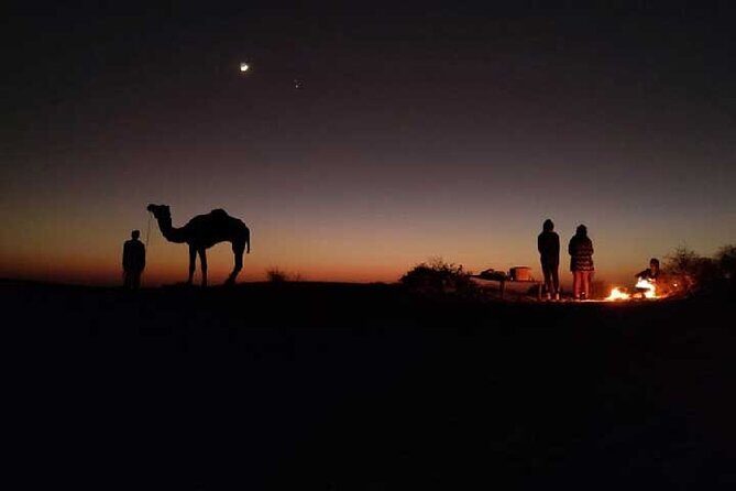 Overnight Camel Safari - An In-Depth Look at the Overnight Camel Safari