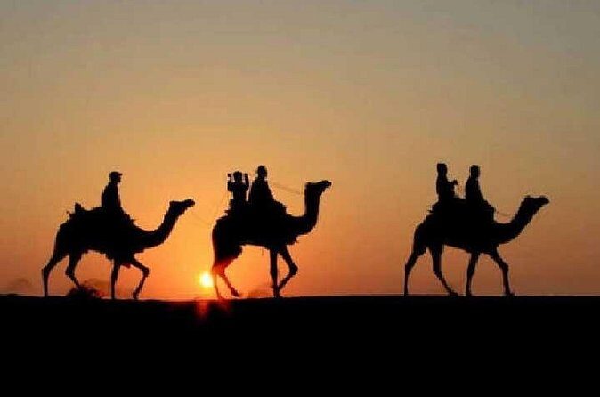 Overnight Camel Safari - FAQ