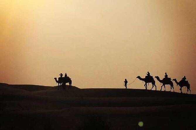 Overnight Camel Safari - The Sum Up