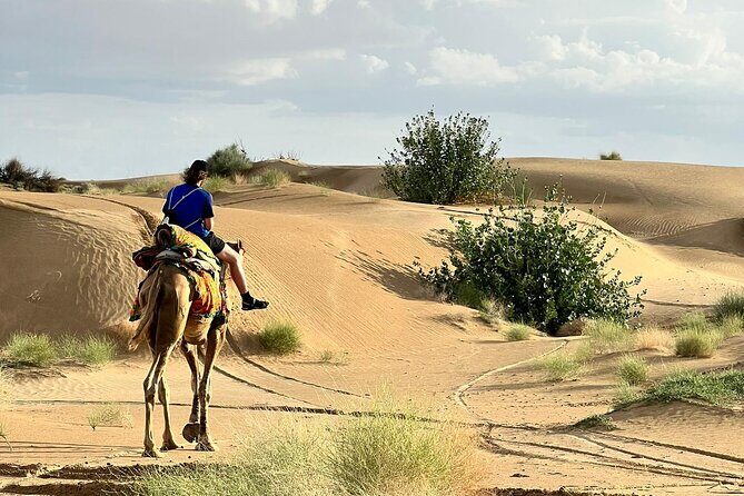 Overnight Camel Safari in Thar Desert - Key Points