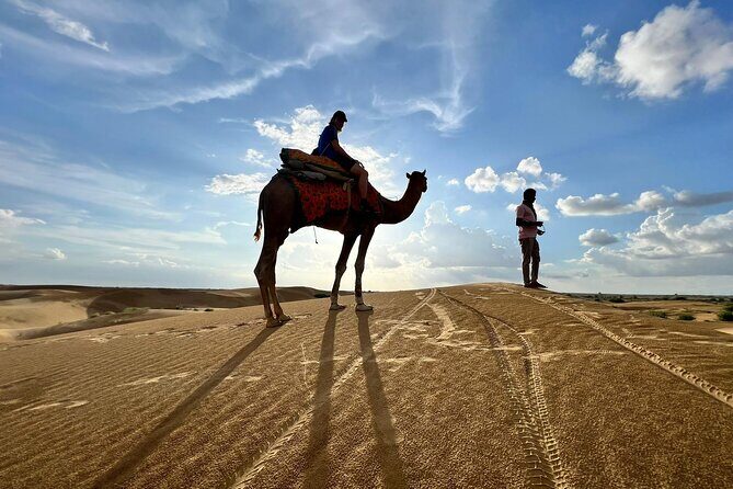 Overnight Camel Safari in Thar Desert - What Makes This Tour Stand Out?