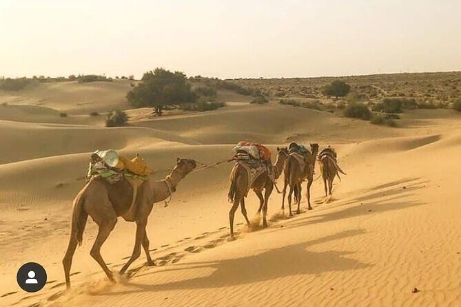 Overnight camel safari (non_touristic) - Who Is This Tour Best For?