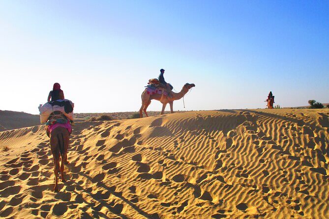 Overnight Camel Safari - Sleeping under the Stars - An In-Depth Look at the Jaisalmer Camel Safari