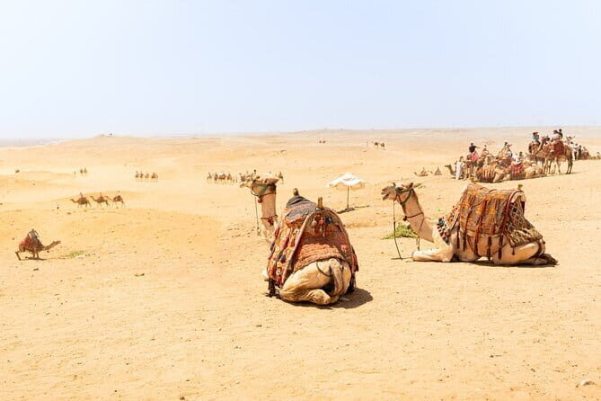 Overnight Camel Safari Tour - The Sum Up: Is It Worth It?