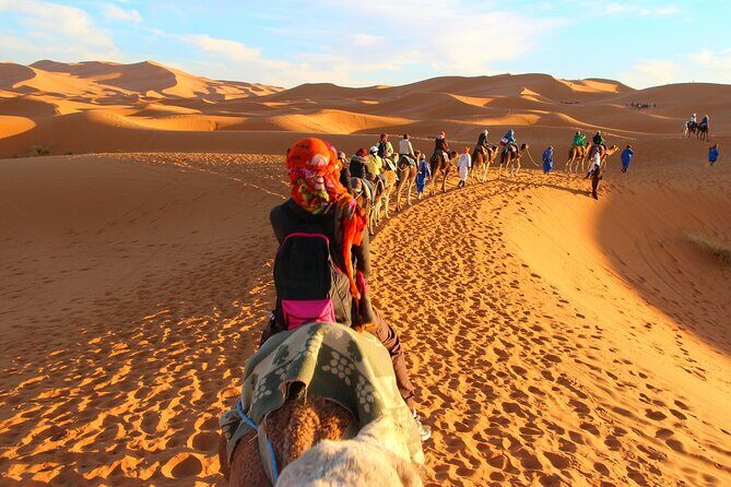 Overnight Camel trek in Merzouga dunes - Authenticity and Reviews: What Travelers Say
