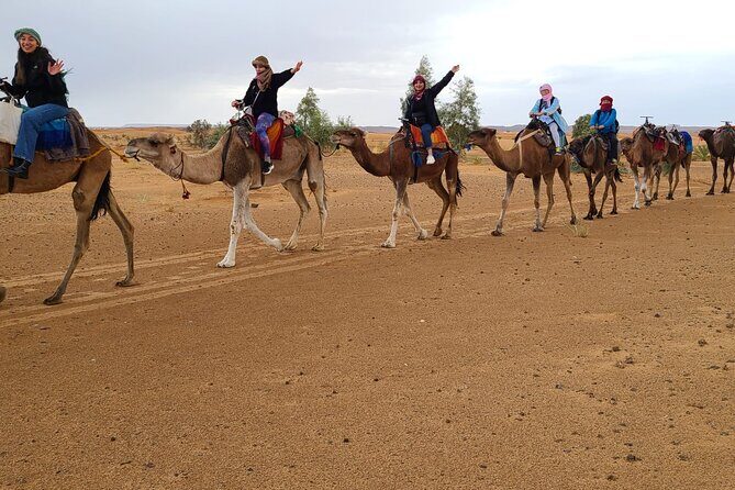 Overnight Camel trek in Merzouga dunes - Price and Value