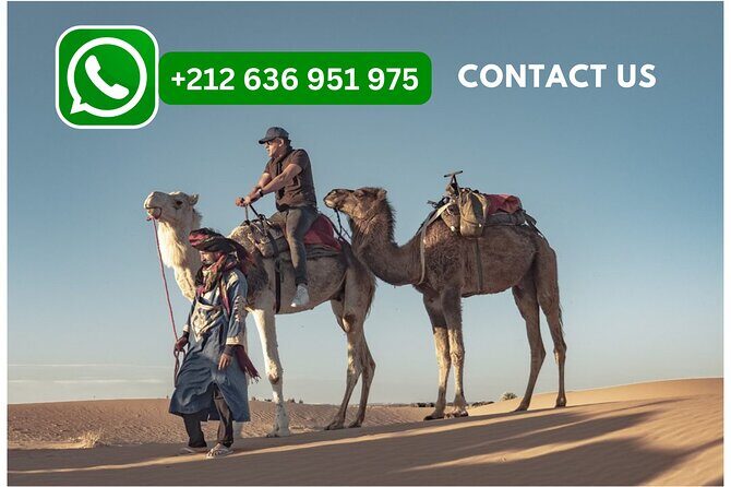 Overnight Camel trekking in Merzouga - An In-Depth Look at the Tour