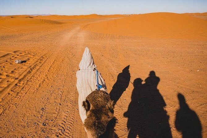 Overnight Camel trekking in Merzouga - The Sum Up