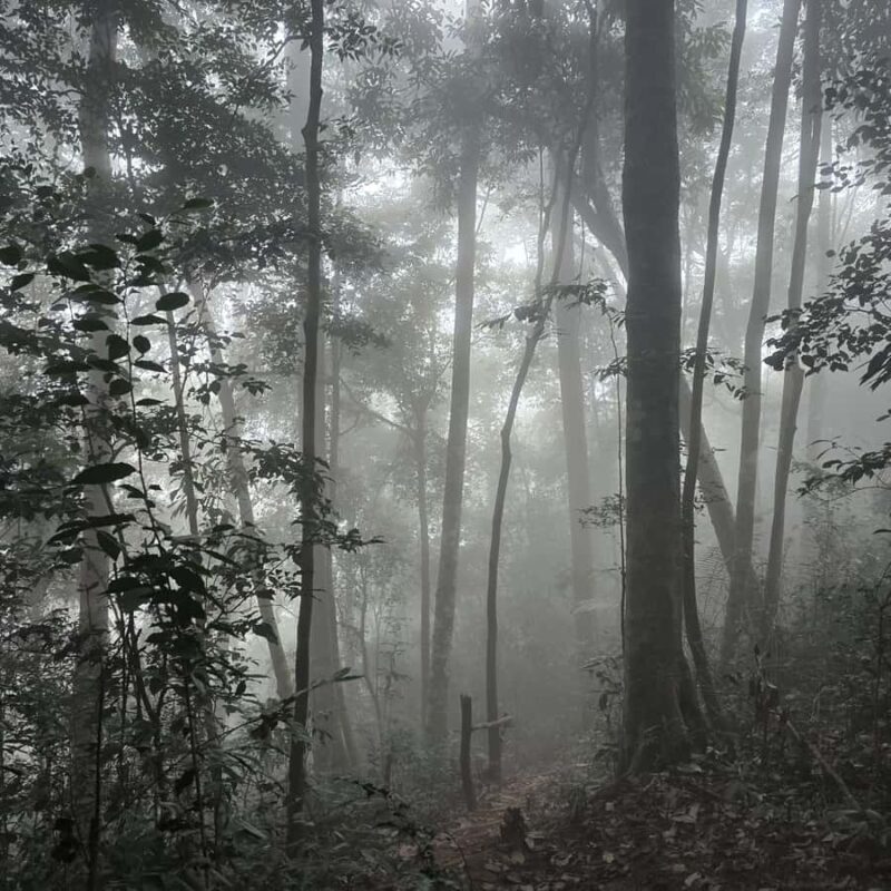 Overnight Camping At nong khiaw view point, 360 view - Final Thoughts: Who Should Consider This Tour?