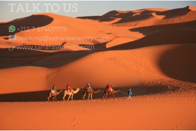 Overnight Camping in Merzouga Desert - What to Expect from the Overnight Camping Tour