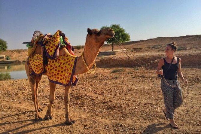 Overnight Camping With Camel Safari In Jaisalmer - The Verdict: Is This Tour Worth It?
