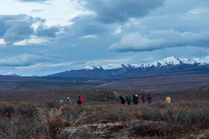Overnight Denali National Park plus Aurora Chase Tour - What Travelers Are Saying
