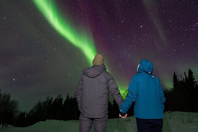Overnight Denali National Park plus Aurora Chase Tour - Who Should Consider This Tour?