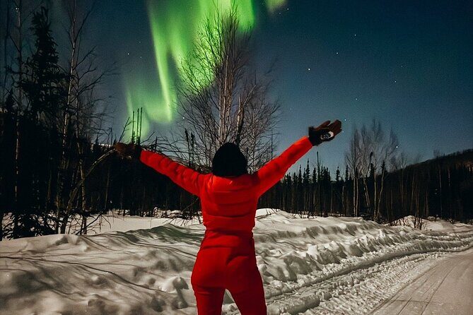 Overnight Denali National Park plus Aurora Chase Tour - Final Thoughts