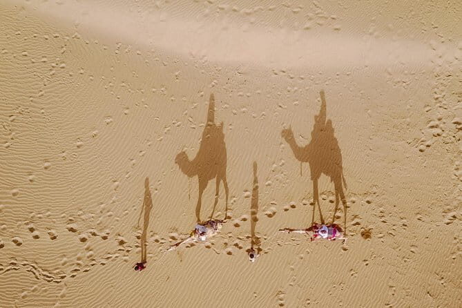 Overnight Desert Adventure Safari - Morning Departure - Return Trip and Value