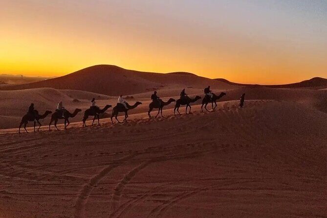 Overnight Desert Camp - The Itinerary: A Step-by-Step Breakdown