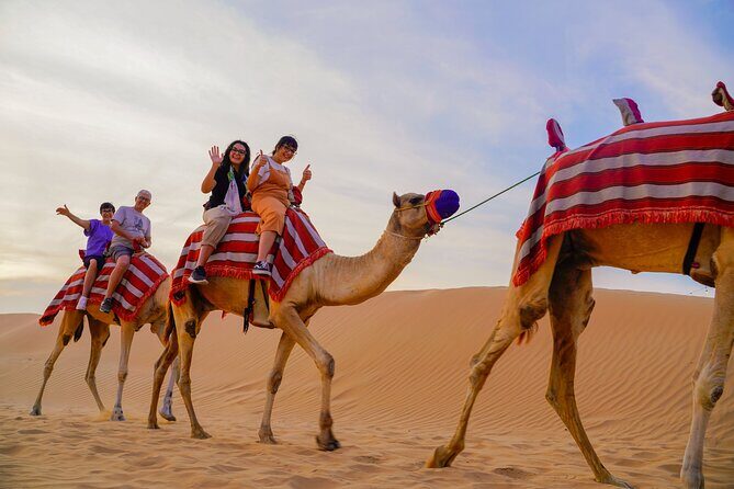Overnight Desert Experience with safari and BBQ Dinner - Pickup and Journey to the Desert