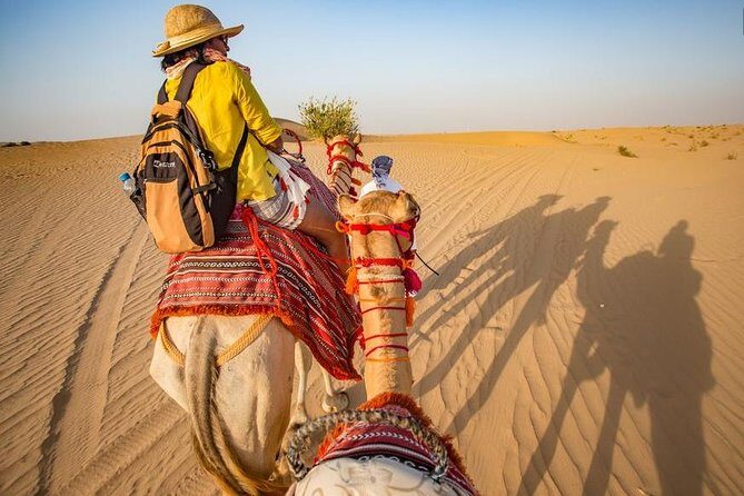 Overnight Desert Safari Dubai With Hot BBQ Dinner & Breakfast - Final Thoughts: Who Should Consider This Tour?