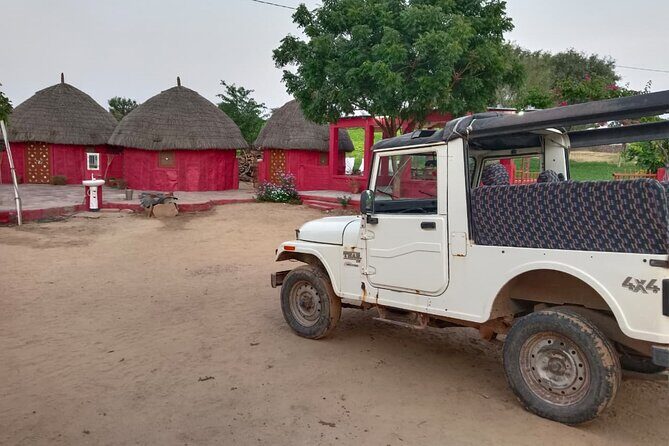Overnight Desert Stay with Camel Safari and Homemade Food - OM - Final Thoughts: Who is This Tour For?