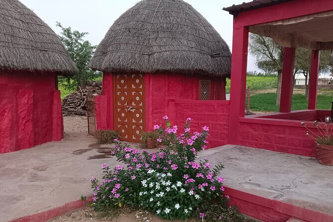 Overnight Desert Stay with Camel Safari and Homemade Food - OM - FAQ