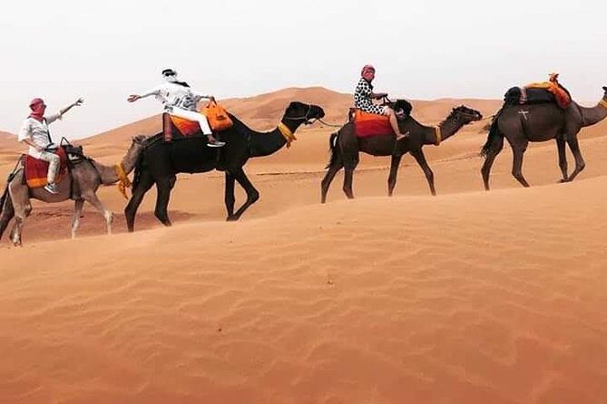 Overnight Desert Tours from Fez to Fez - A Well-Organized Route Through Morocco’s Landscapes
