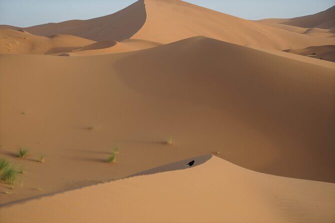Overnight Desert Tours from Fez to Fez - What’s Included and What’s Not