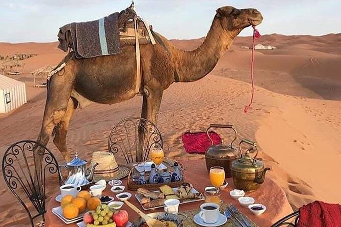 Overnight Desert Trips From Fez to Fez - The Itinerary in Detail: What to Expect