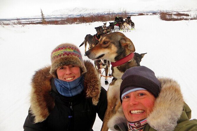 Overnight Dog Sledding Adventure - Final Thoughts: Who Will Love This Experience?