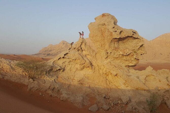 Overnight Dubai Desert Safari - Who Will Love This Tour?