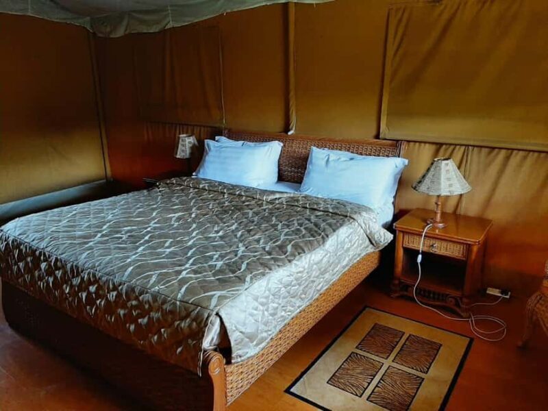 Overnight Group Joining Safari to Amboseli from Nairobi - Key Points