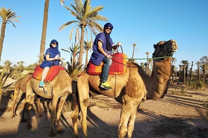 Overnight Luxury Desert Trip Form Fez To Fez - A Closer Look at the Itinerary and Highlights