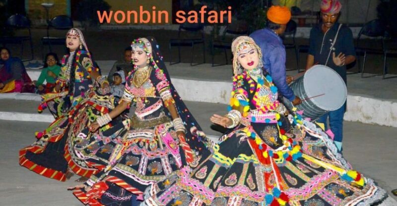 Overnight Luxury Safari by Wonbin Safari - An In-Depth Look at the Experience