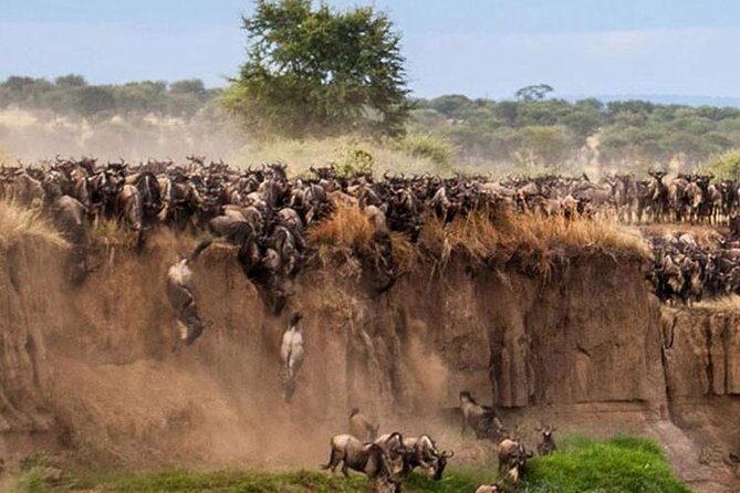 Overnight Maasai Mara Private Safari From Nairobi - Key Points