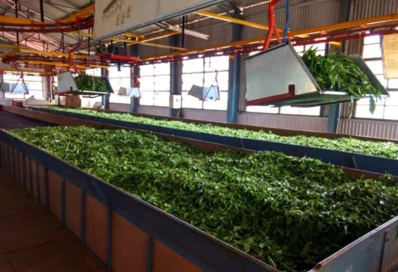 OVERNIGHT MUNNAR FROM KOCHI - Key Points