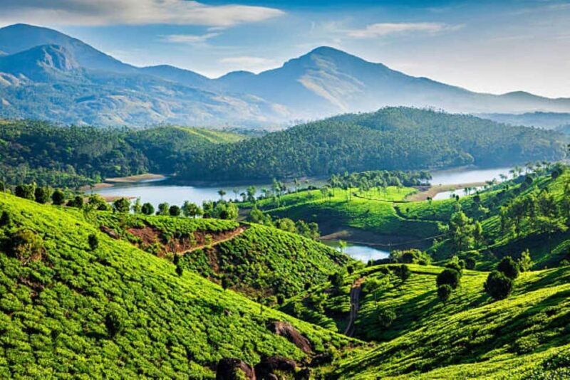 Overnight Munnar Hill Station Tour with Kerala Beauty - Day 1: Munnar’s Iconic Sights