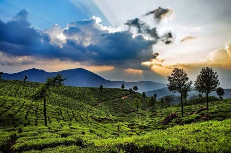 Overnight Munnar Hill Station Tour with Kerala Beauty - Why This Tour Delivers Value