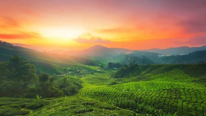 Overnight Munnar Hill Station Tour with Kerala Beauty - Compatibility and Suitability
