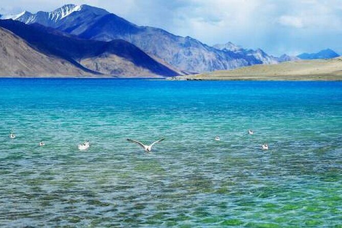 Overnight Pangong Tour From Leh With Thikse & Hemis Monasteries. - Why This Tour Works